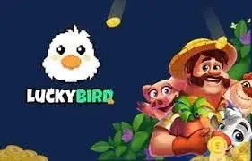 poker vietnam zingplay